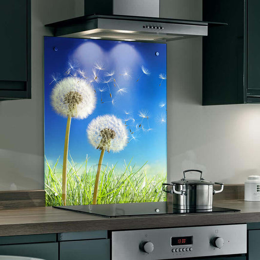 Dandelion splashback in a kitchen, featuring fluffy seeds against a blue sky, creating an uplifting atmosphere.