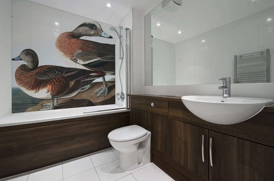 Audubon Widgeon Gallery Panel in a modern bathroom, featuring American Widgeons and elegant fixtures.