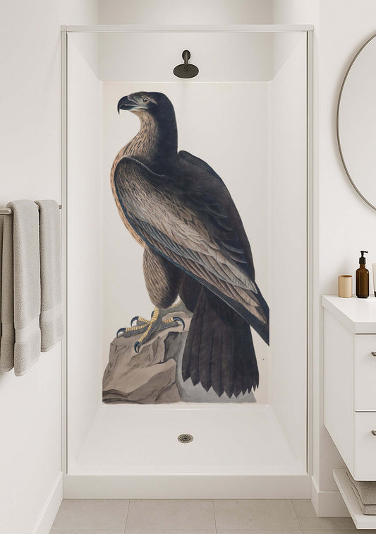 Audubon Hawk Shower Panel featuring a majestic raptor mural in a modern shower setting.